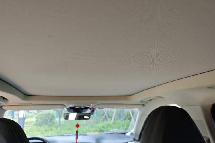 Used Lynk & Co 01 2017 2.0T Two-Wheel Drive Pro Edition Headliner