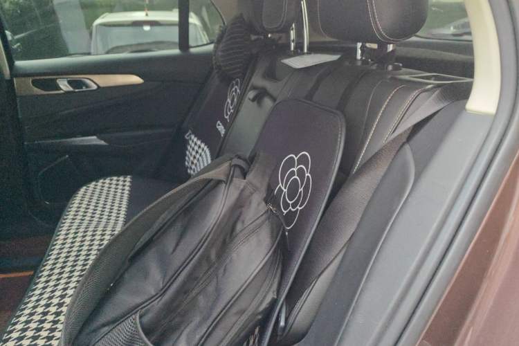 Used Lynk & Co 01 2017 2.0T Two-Wheel Drive Pro Edition Left Rear Seat