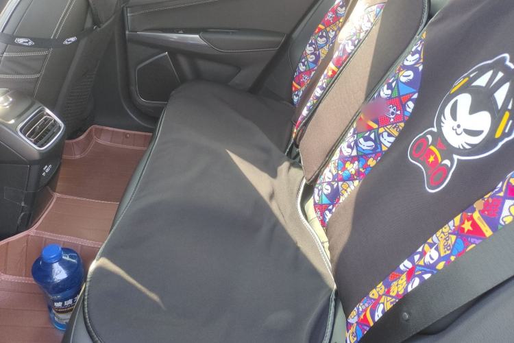 Used Lynk & Co 01 2017 2.0T Two-Wheel Drive Pro Edition Left Rear Seat