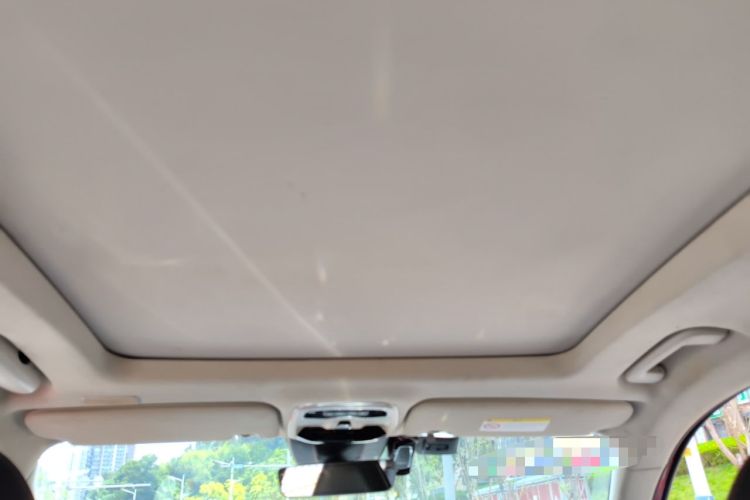 Used Lynk & Co 01 2017 2.0T Four-Wheel Drive Pro Edition Headliner