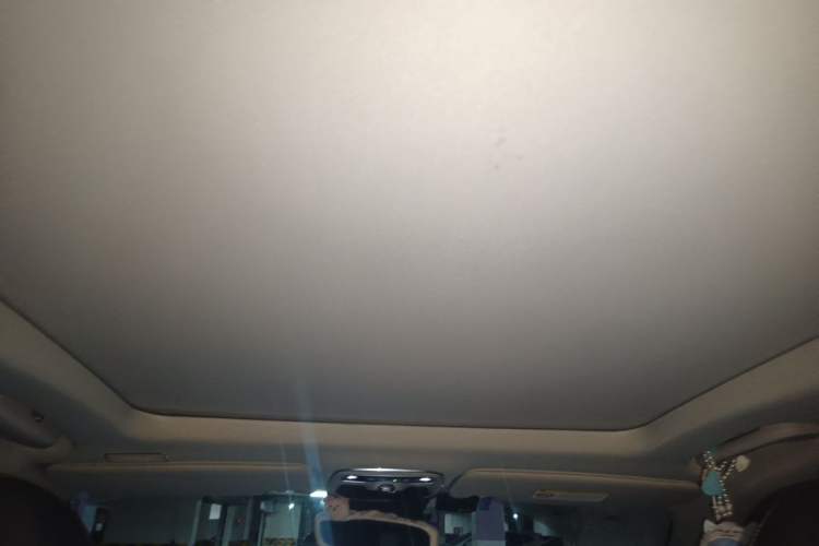 Used Lynk & Co 01 2017 2.0T Two-Wheel Drive Pro Edition Headliner