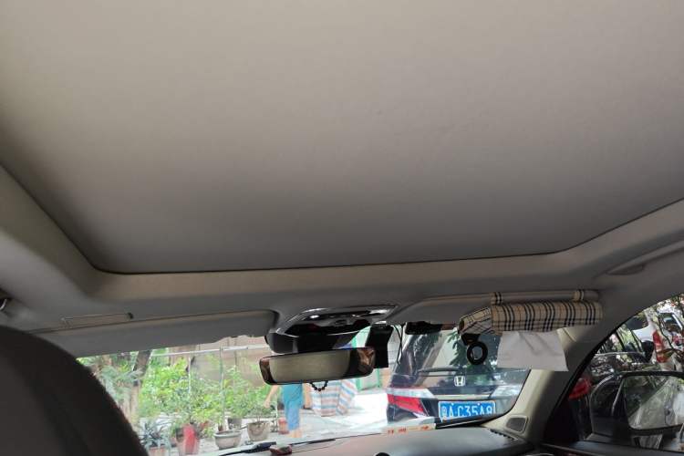 Used Lynk & Co 01 2017 2.0T Four-Wheel Drive Pro Edition Headliner