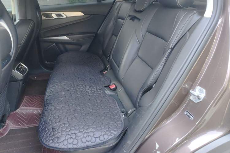 Used Lynk & Co 01 2017 2.0T Two-Wheel Drive Pro Edition Left Rear Seat
