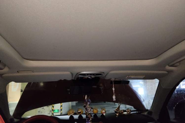 Used Lynk & Co 01 2017 2.0T Four-Wheel Drive Pro Edition Headliner