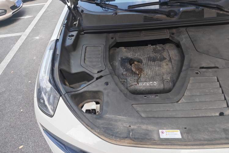 Used Lynk & Co 01 2017 2.0T Two-Wheel Drive Pro Edition Engine Bay Right