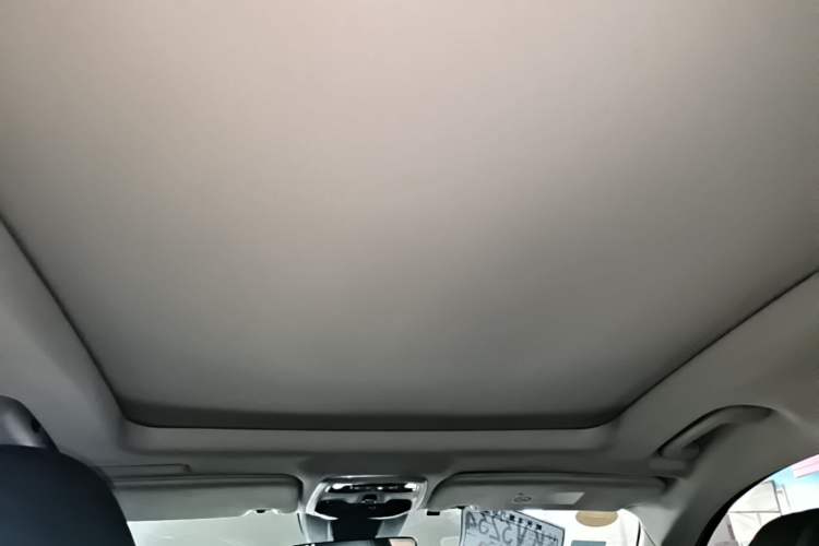 Used Lynk & Co 01 2017 2.0T Two-Wheel Drive Pro Edition Headliner