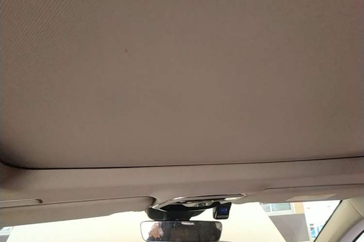 Used Lynk & Co 01 2017 2.0T Two-Wheel Drive Pro Edition Headliner