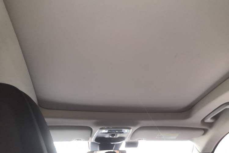 Used Lynk & Co 01 2017 2.0T Two-Wheel Drive Pro Edition Headliner