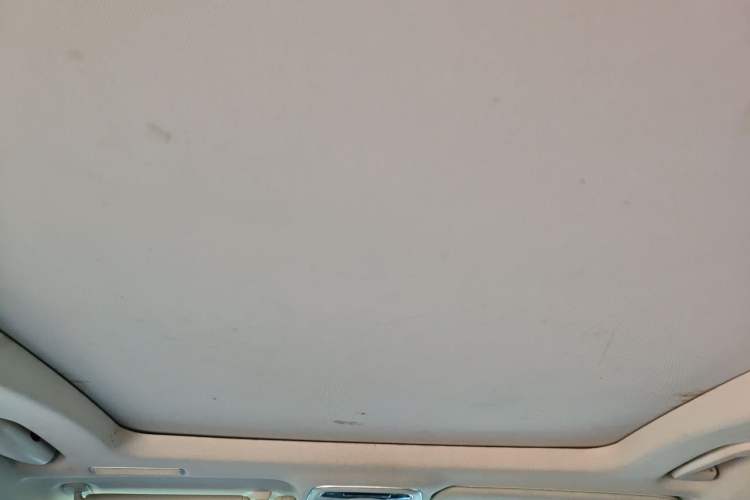 Used Lynk & Co 01 2017 2.0T Two-Wheel Drive Pro Edition Headliner