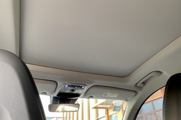 Used Lynk & Co 01 2017 2.0T Two-Wheel Drive Pro Edition Headliner