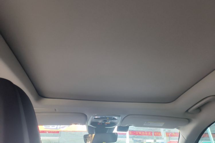 Used Lynk & Co 01 2017 2.0T Two-Wheel Drive Pro Edition Headliner
