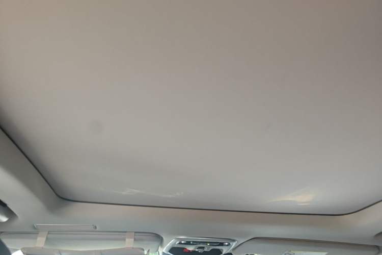 Used Lynk & Co 01 2017 2.0T Four-Wheel Drive Pro Edition Headliner
