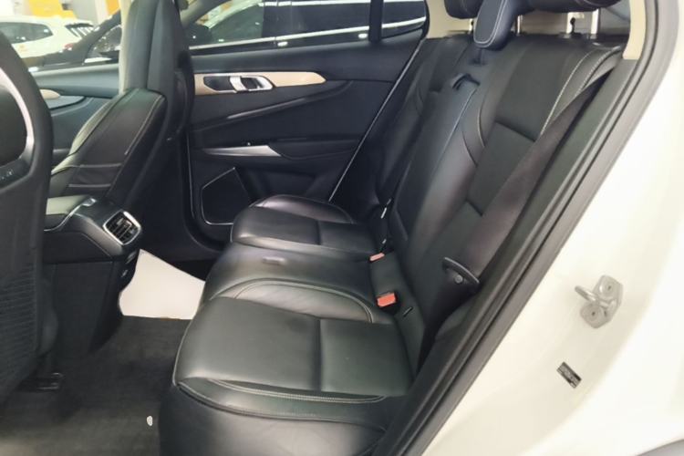 Used Lynk & Co 01 2017 2.0T Two-Wheel Drive Pro Edition Left Rear Seat