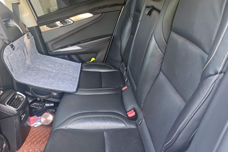 Used Lynk & Co 01 2017 2.0T Two-Wheel Drive Pro Edition Left Rear Seat