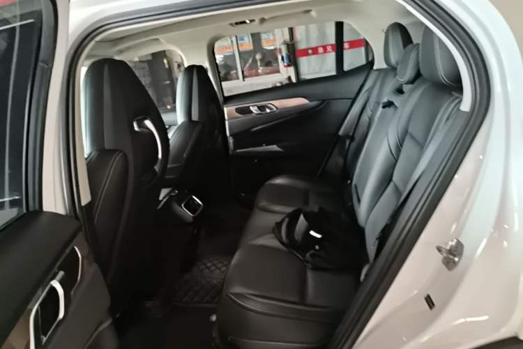 Used Lynk & Co 01 2017 2.0T Two-Wheel Drive Pro Edition Left Rear Seat