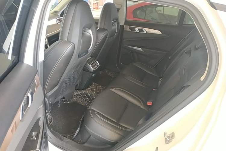 Used Lynk & Co 01 2017 2.0T Two-Wheel Drive Pro Edition Left Rear Seat