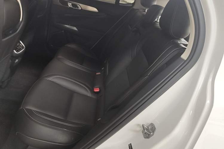 Used Lynk & Co 01 2017 2.0T Two-Wheel Drive Pro Edition Left Rear Seat