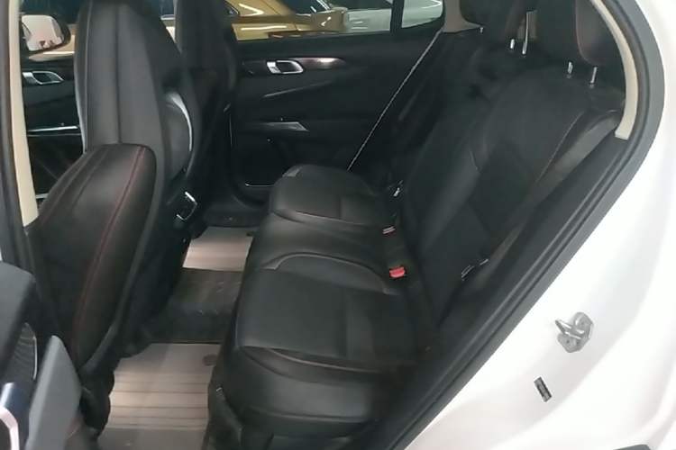 Used Lynk & Co 01 2017 2.0T Four-Wheel Drive Pro Edition Left Rear Seat