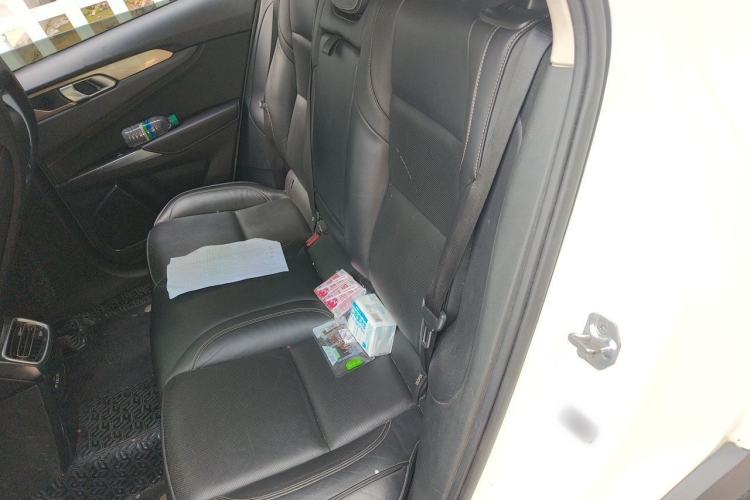 Used Lynk & Co 01 2017 2.0T Two-Wheel Drive Pro Edition Left Rear Seat