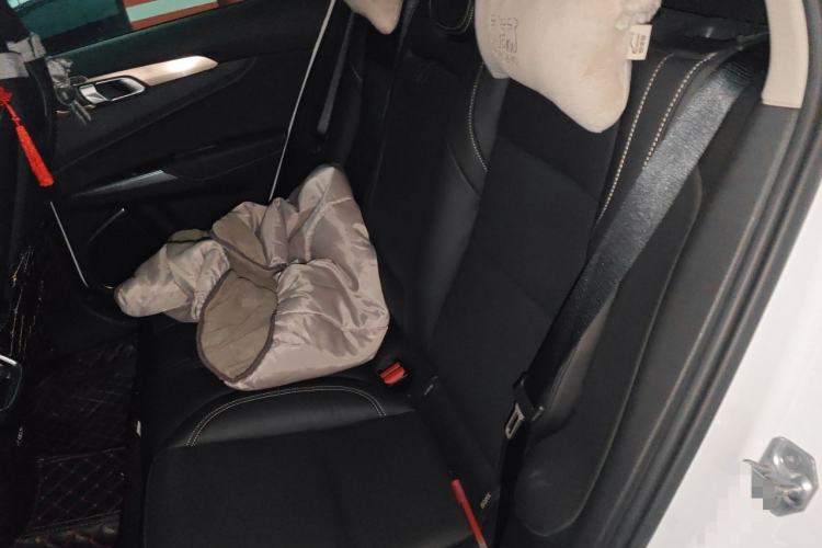 Used Lynk & Co 01 2017 2.0T Two-Wheel Drive Pro Edition Left Rear Seat