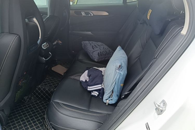 Used Lynk & Co 01 2017 2.0T Two-Wheel Drive Pro Edition Left Rear Seat