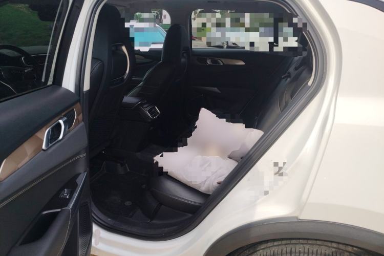 Used Lynk & Co 01 2017 2.0T Two-Wheel Drive Pro Edition Left Rear Seat