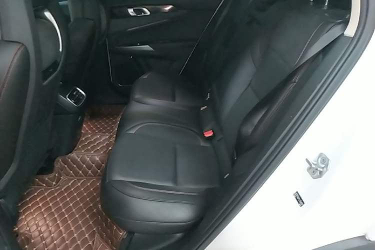 Used Lynk & Co 01 2017 2.0T Four-Wheel Drive Pro Edition Left Rear Seat