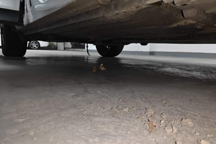 Used Lynk & Co 01 2017 2.0T Four-Wheel Drive Pro Edition Right Side Sill