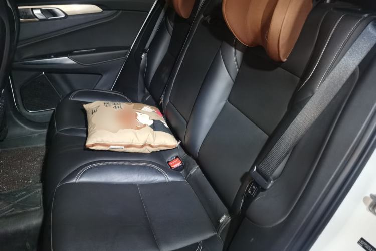 Used Lynk & Co 01 2018 2.0T Two-Wheel-Drive + Version Left Rear Seat