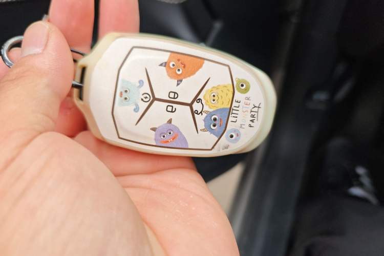 Used Lynk & Co 01 2019 2.0T Two-Wheel-Drive Pro Version China VI Standard Vehicle Key