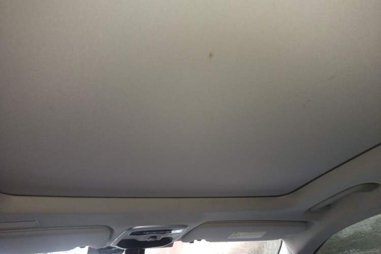 Used Lynk & Co 01 2020 2.0T Two-Wheel Drive Pure Pro Version China VI Standard Headliner