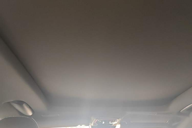 Used Lynk & Co 01 2021 2.0TD Four-Wheel Drive Dark Night Edition Headliner