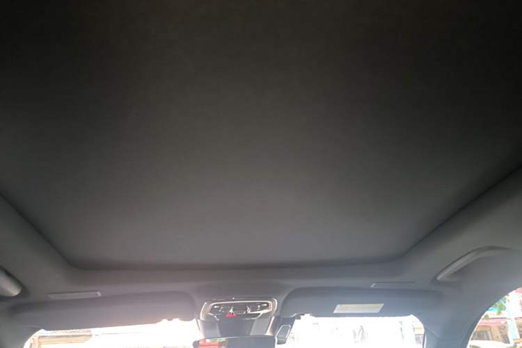 Used Lynk & Co 01 2021 2.0TD Four-Wheel Drive Dark Night Edition Headliner