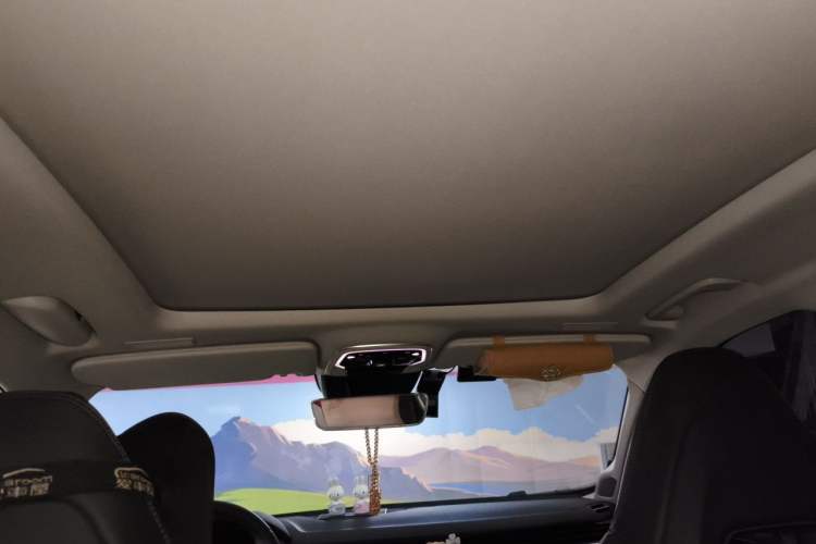 Used Lynk & Co 01 2021 2.0TD Two-Wheel-Drive Pro Trim Headliner