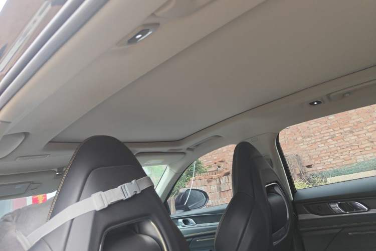 Used Lynk & Co 01 2023 2.0TD Two-Wheel Drive Pro Trim Headliner
