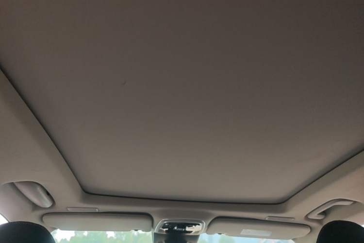 Used Lynk & Co 01 2023 2.0TD Two-Wheel Drive Pro Trim Headliner
