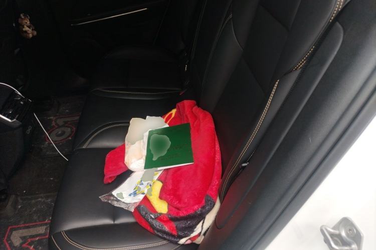 Used Lynk & Co 01 2023 2.0TD Two-Wheel Drive Asian Games Edition Left Rear Seat