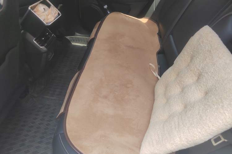 Used Lynk & Co 01 2023 2.0TD Two-Wheel Drive Asian Games Edition Left Rear Seat