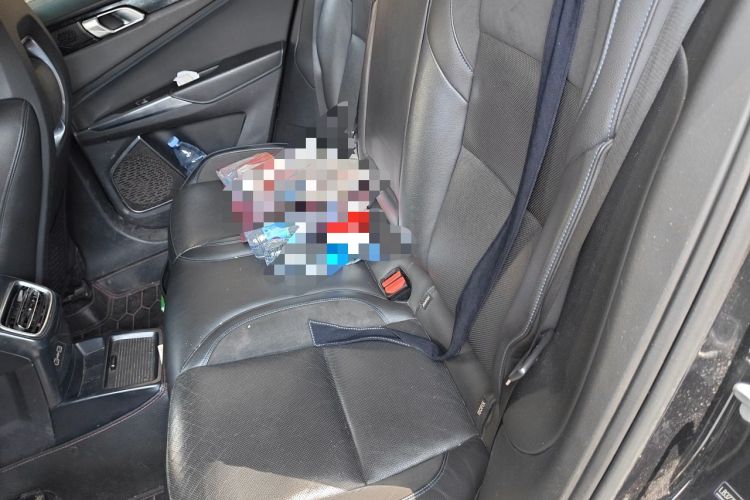 Used Lynk & Co 01 EM-P 2018 1.5T PHEV Jing Guo V Left Rear Seat