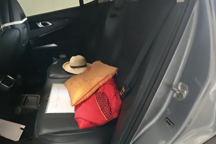 Used Lynk & Co 01 EM-P 2019 1.5T PHEV JingPro National VI Left Rear Seat