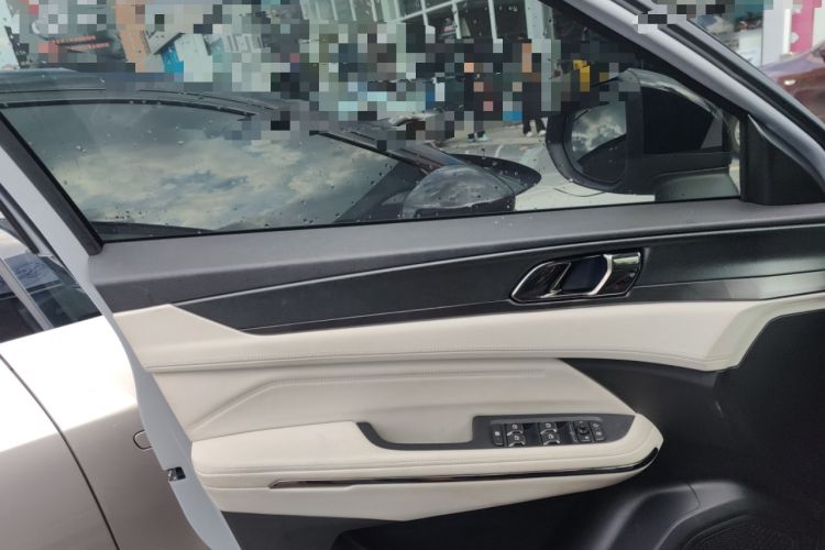Used Lynk & Co 01 EM-P 2023 1.5TD EM-P Dawn Edition Left Front Door Interior