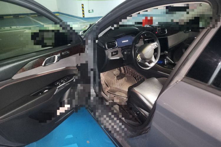Used Lynk & Co 02 2018 1.5T DCT Two-Wheel Drive Pro Version China V Emission Standard Driver Seat