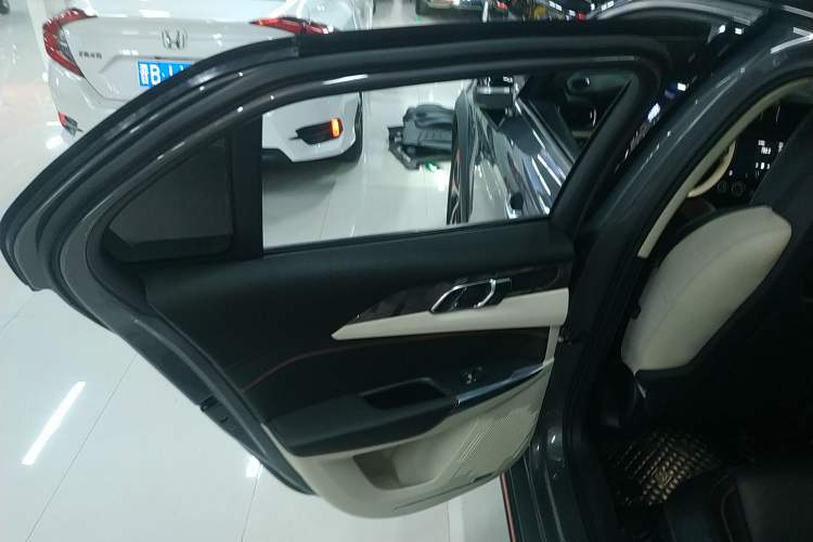 Used Lynk & Co 02 2018 1.5T DCT Two-Wheel Drive Zhaopu Version China V Standard Left Rear Door Interior