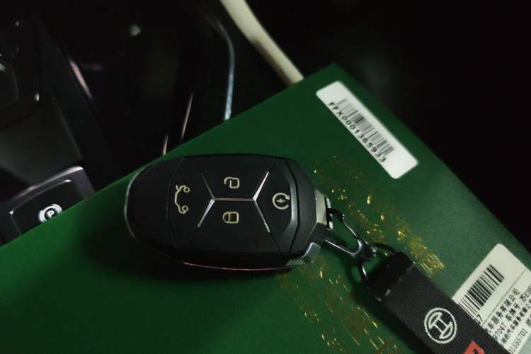 Used Lynk & Co 02 2018 1.5T DCT Two-Wheel Drive Zhaopu Version China V Standard Vehicle Key