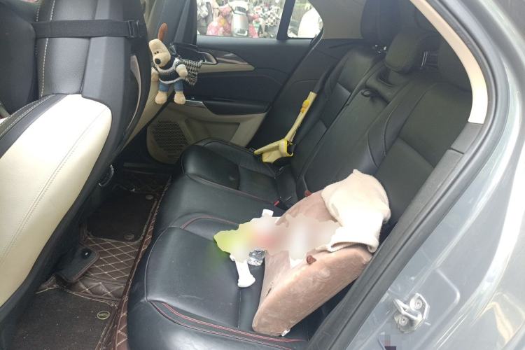 Used Lynk & Co 02 2019 1.5T DCT Two-Wheel Drive Shine Pro Edition China VI Standard Left Rear Seat