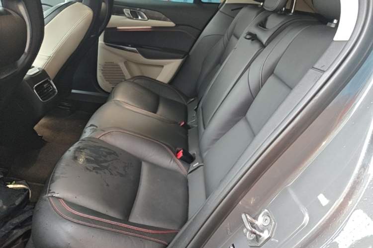 Used Lynk & Co 02 2019 1.5T DCT Two-Wheel Drive Shine Pro Edition China VI Standard Left Rear Seat