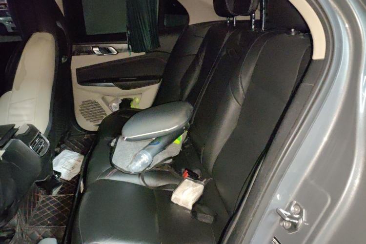 Used Lynk & Co 02 2019 1.5T DCT Two-Wheel Drive Shine Pro Edition China VI Standard Left Rear Seat