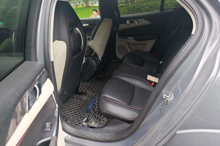 Used Lynk & Co 02 2019 1.5T DCT Two-Wheel Drive Shine Pro Edition China VI Standard Left Rear Seat