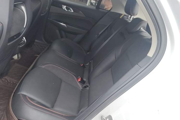Used Lynk & Co 02 2019 1.5T DCT Two-Wheel Drive Pro Edition China VI Standard Left Rear Seat