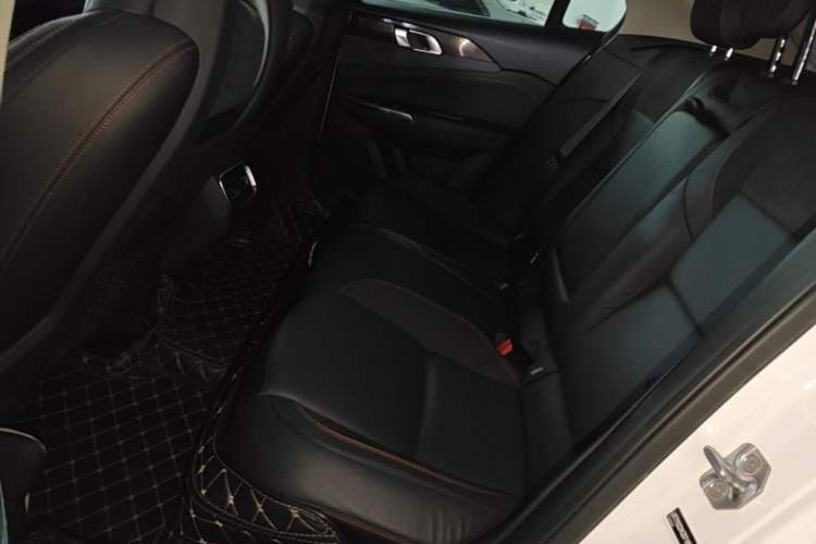 Used Lynk & Co 02 2019 High-Energy Edition 2.0T Automatic Two-Wheel Drive Pro Version China VI Standard Left Rear Seat